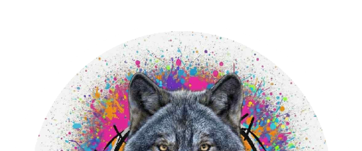 Ouverture Officielle de Radio The Wolf Le 31 Décembres 2025 a 20h00