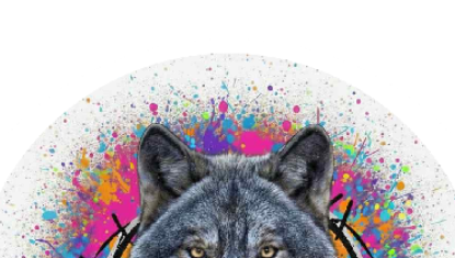 Ouverture Officielle de Radio The Wolf Le 31 Décembres 2025 a 20h00