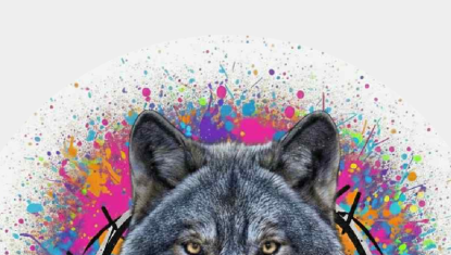 Ouverture Officielle de Radio The Wolf